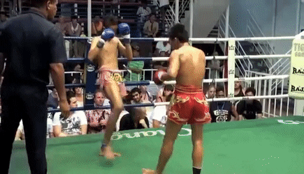 mma-stand-up-2 Monarchy MMA Stand Up