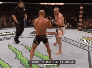 mma-stand-up-3 Monarchy MMA Stand Up