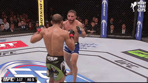 mma-stand-up-4 Monarchy MMA Stand Up