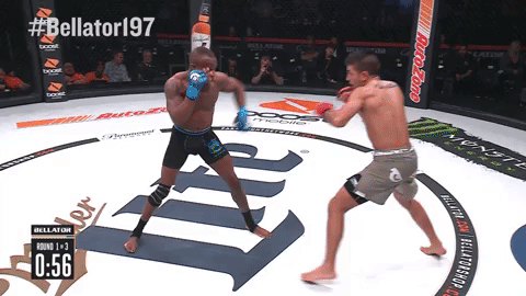 mma-stand-up-5 Monarchy MMA Stand Up