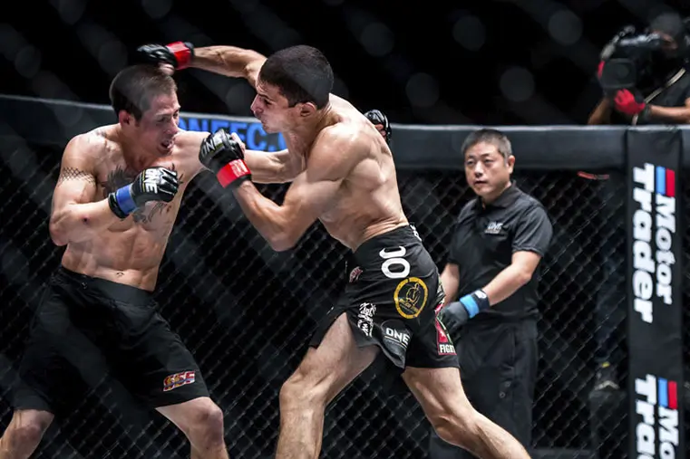 Monarchy MMA Stand Up