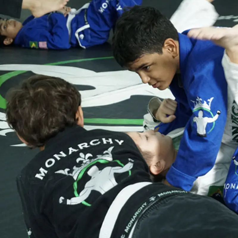 Monarchy MMA BJJ