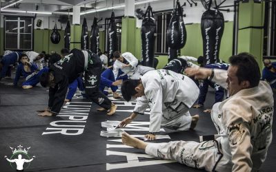 Home 8 Discover How Martial Arts Can Transform Your Evenings into a Relaxing Oasis
