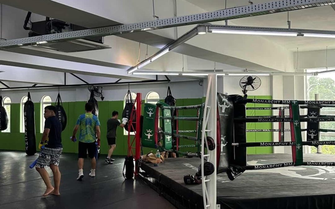 Elevate Your Muay Thai Skills: Insights from Expert Coaching