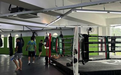 Home 8 Elevate Your Muay Thai Skills: Insights from Expert Coaching