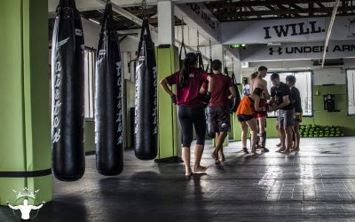 Unlocking the Power of Muay Thai: From Basics to Mastery