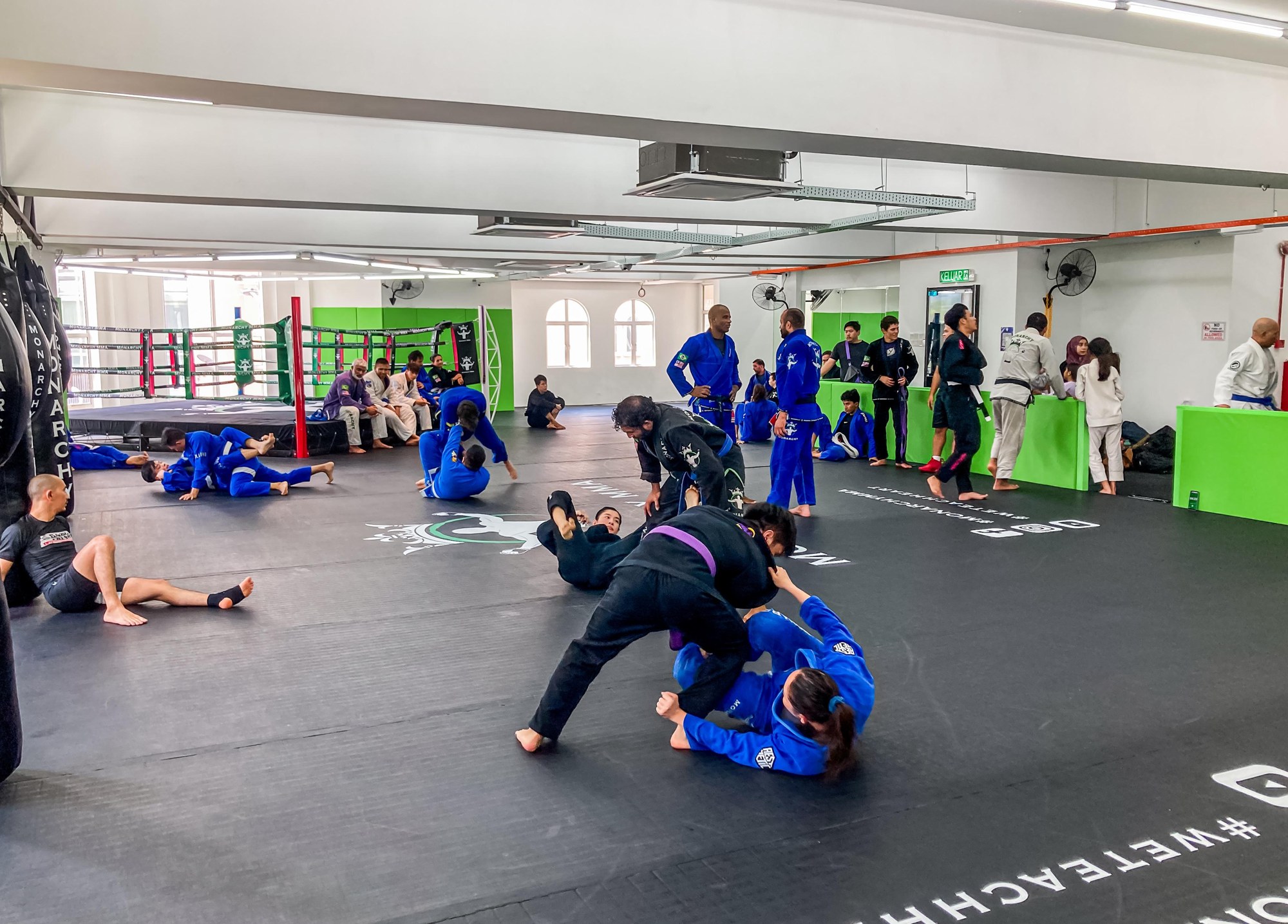 Techniques for attacking from the butterfly guard at Monarchy MMA