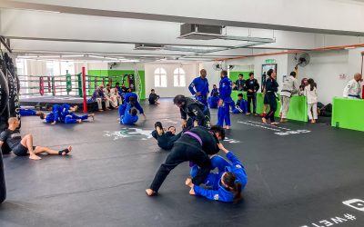 Home 8 Unlocking the Secrets of the X-Guard for Superior BJJ Control