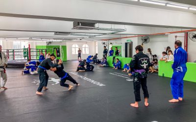 Mastering the Art: Your Brown Belt Journey in BJJ
