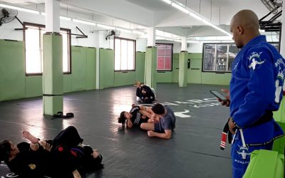 Home 8 Mastering the Art of Guard Passing: Your Path to BJJ Competition Success