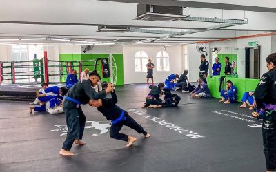 Home 8 Mastering Your First Triangle in Brazilian Jiu-Jitsu