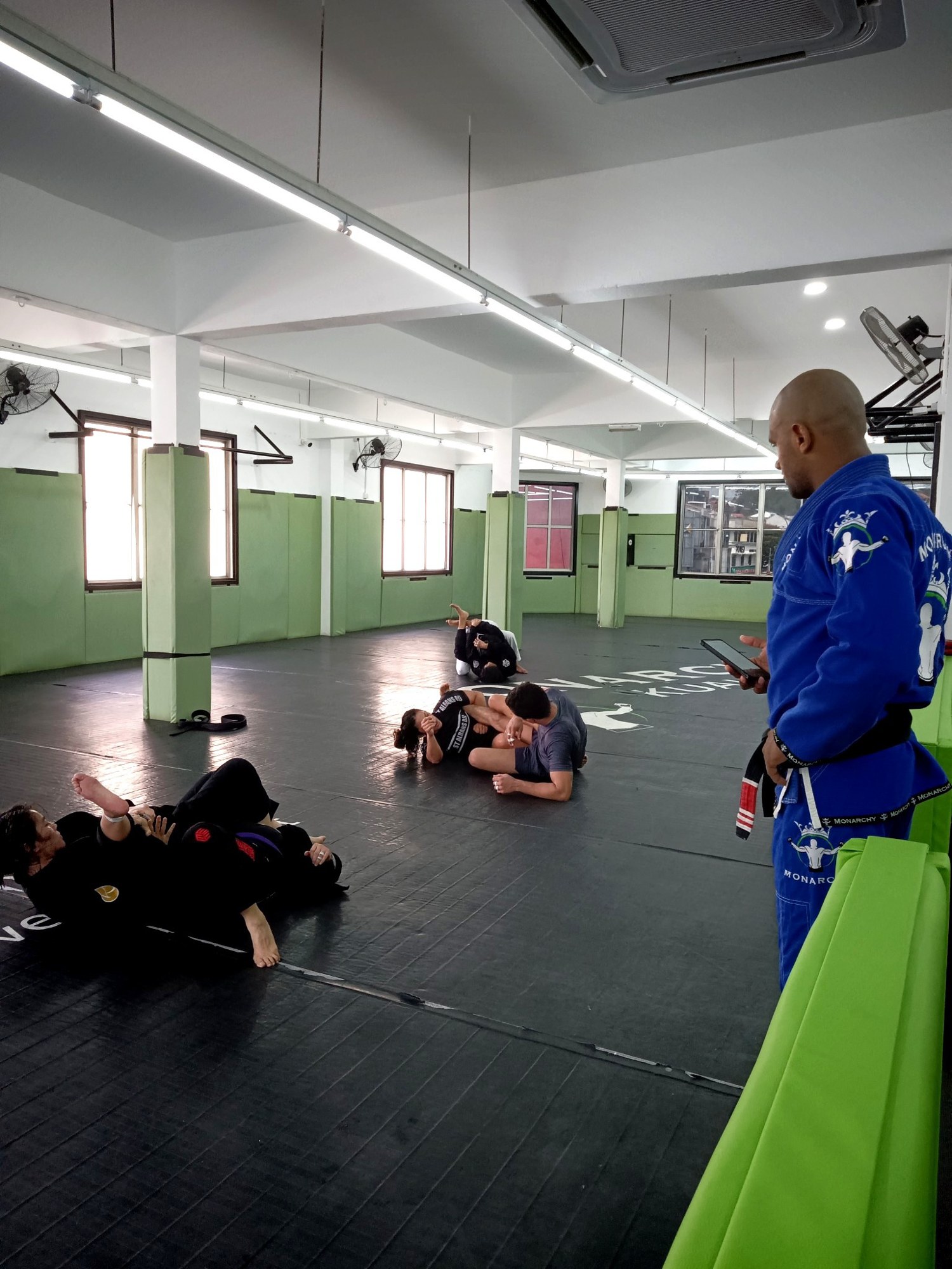Stepping into the Mat: Your Journey Beyond the Average BJJ Practitioner 1 What Defines an