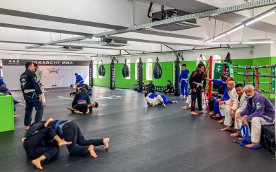 Home 9 Stepping into the Mat: Your Journey Beyond the Average BJJ Practitioner