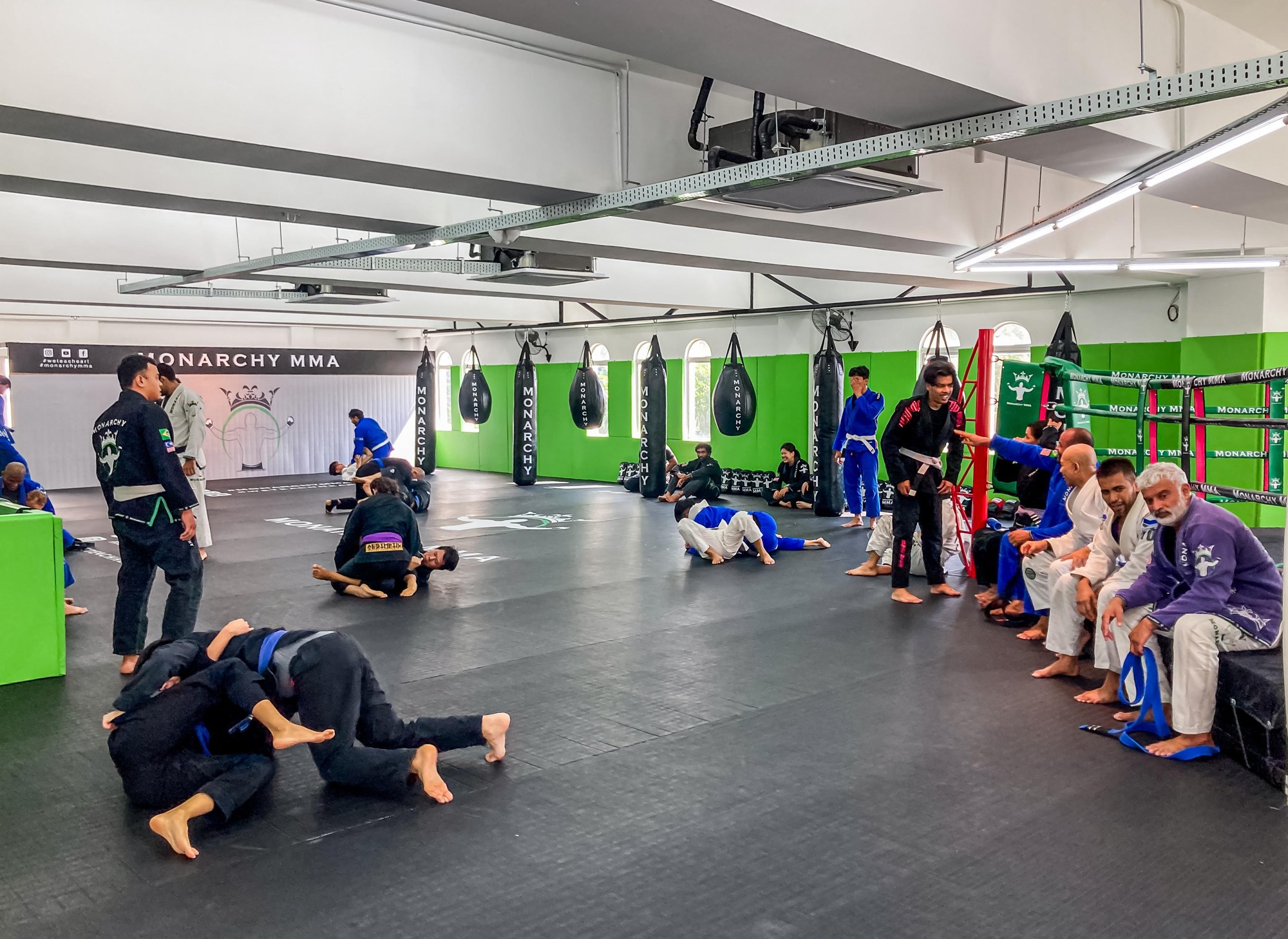 average bjj at Monarchy MMA average bjj at Monarchy MMA