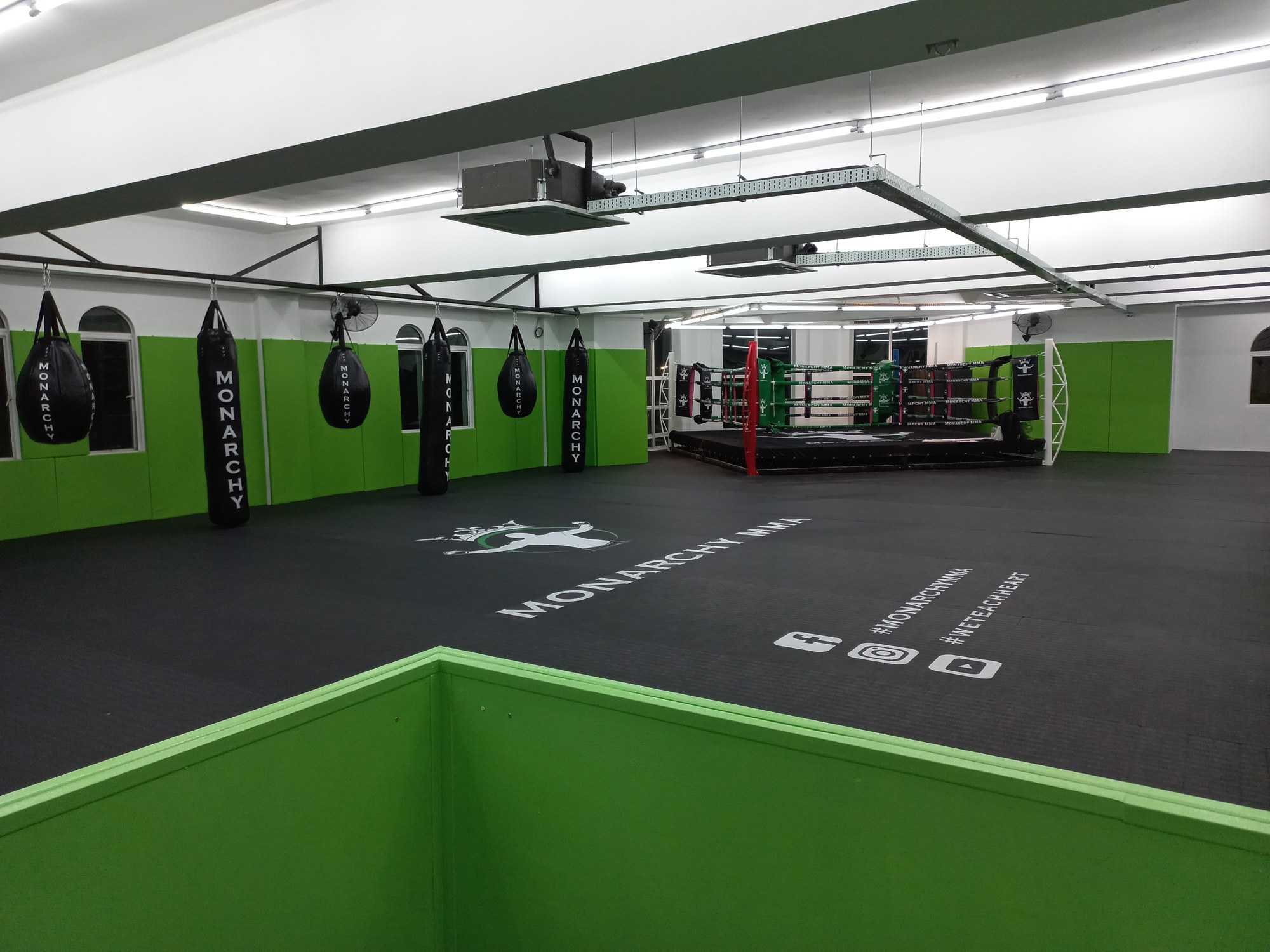 Mastering the Shell: Tactics for Dominating the Turtle Position 1 Understanding the Turtle Position at Monarchy MMA