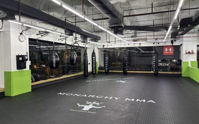 Mastering the Art of Back Control in Martial Arts