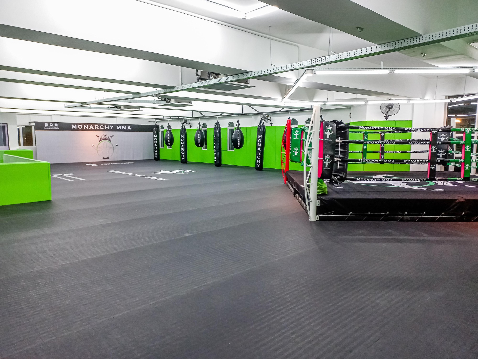 Understanding the Rear Naked Choke's Core Dynamics at Monarchy MMA