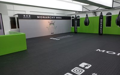 Unlocking Martial Arts Mastery: The Journey Through Belt Progressions
