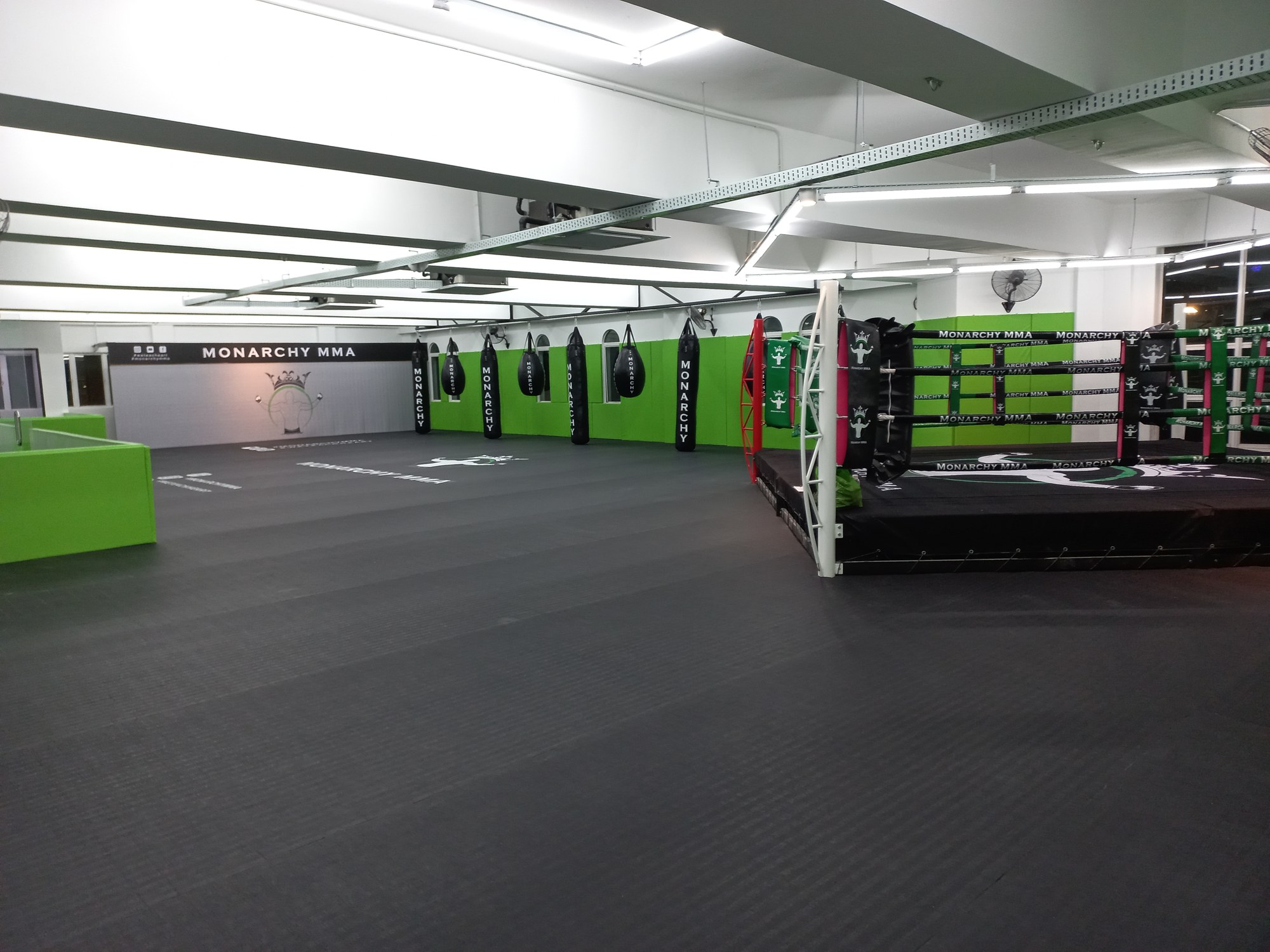 White belt tips: surviving your first few months at Monarchy MMA