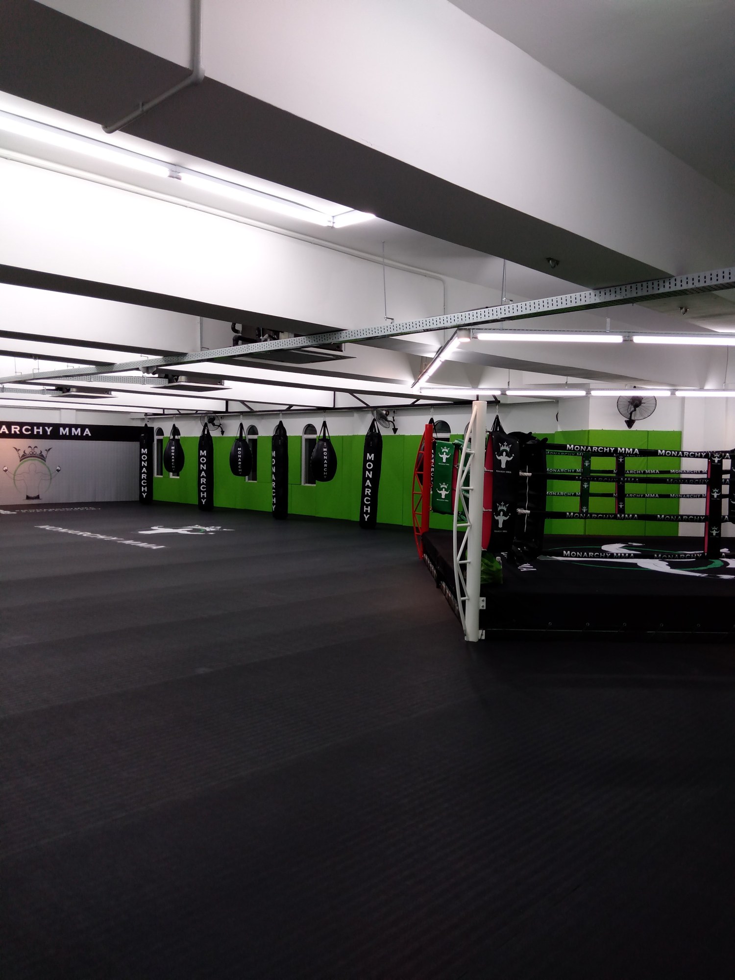 Build a Strong Foundation with Consistency at Monarchy MMA