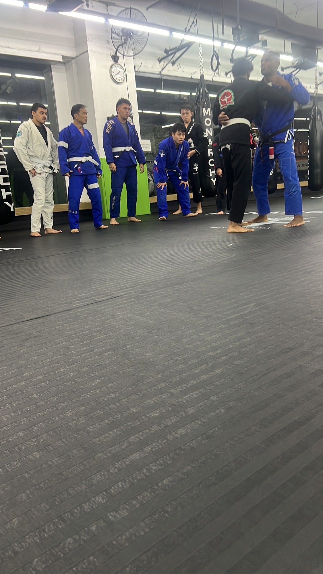 Training advice for beginner BJJ practitioners at Monarchy MMA