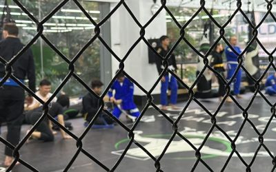 Home 8 Mastering the Edge: Elevate Your BJJ Game