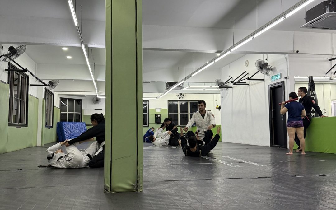 Elevate Your BJJ Game with Strength Workouts