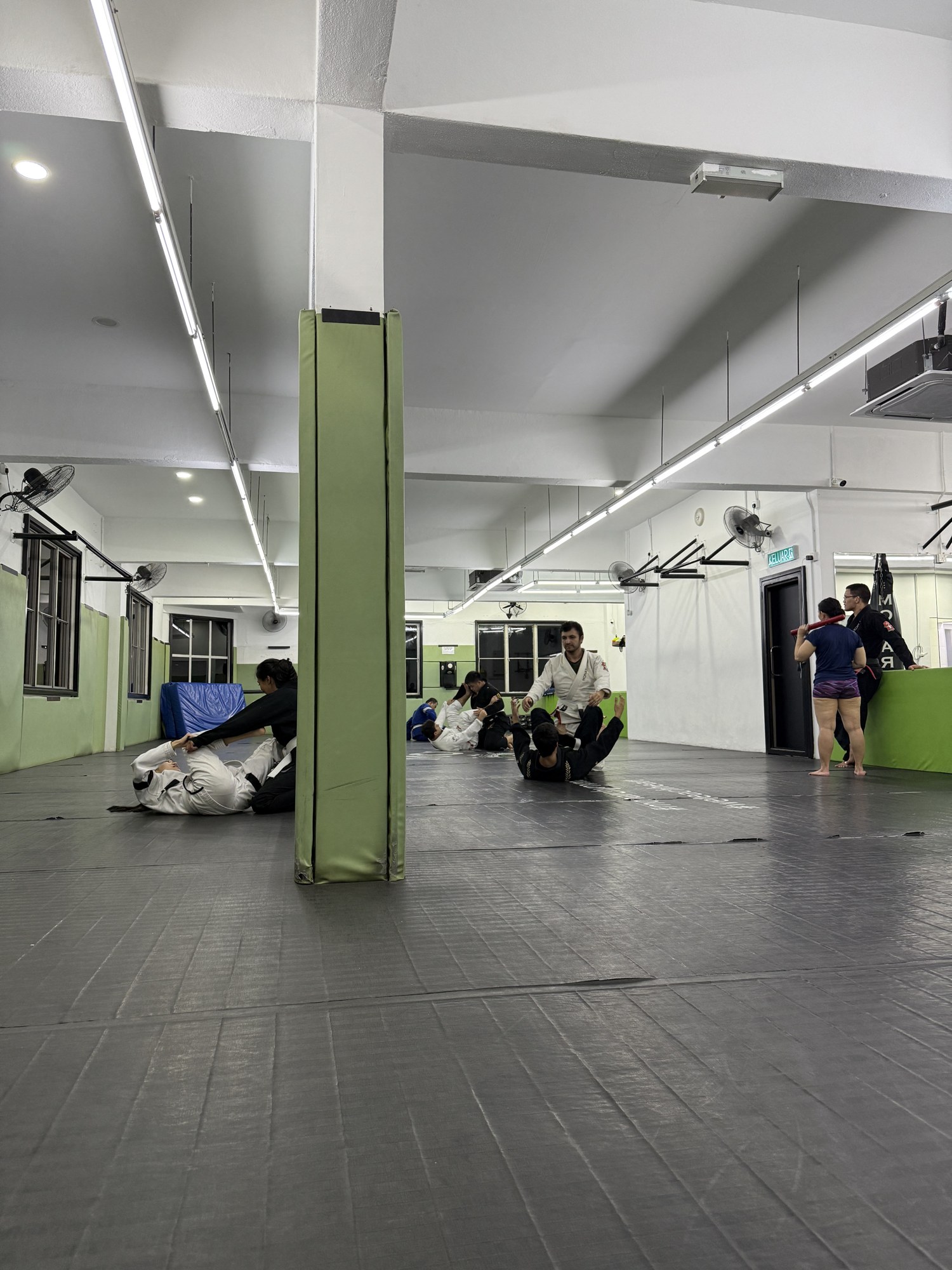 Strength training exercises tailored for BJJ athletes at Monarchy MMA