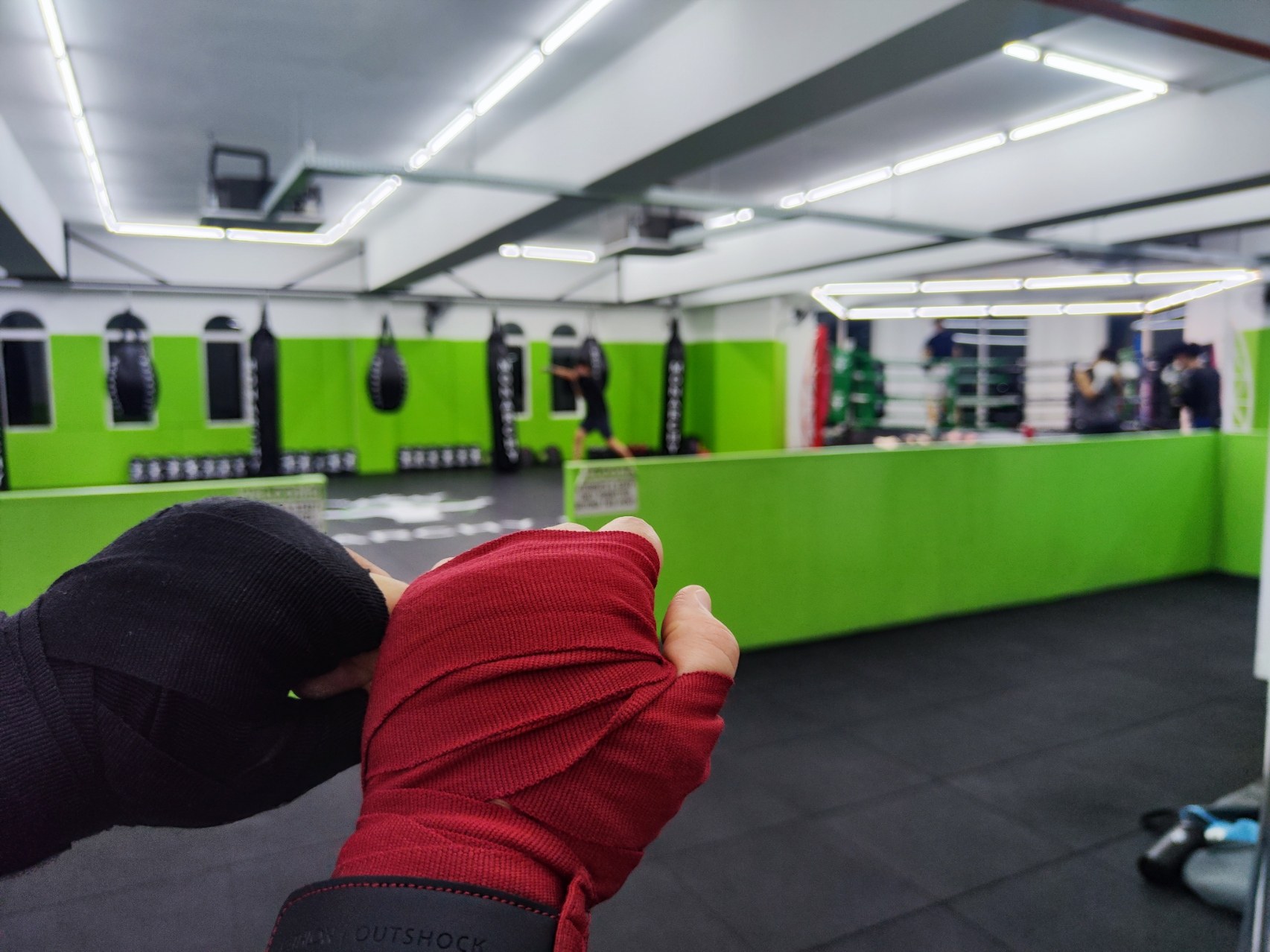 Understanding the Intermediate Plateau at Monarchy MMA